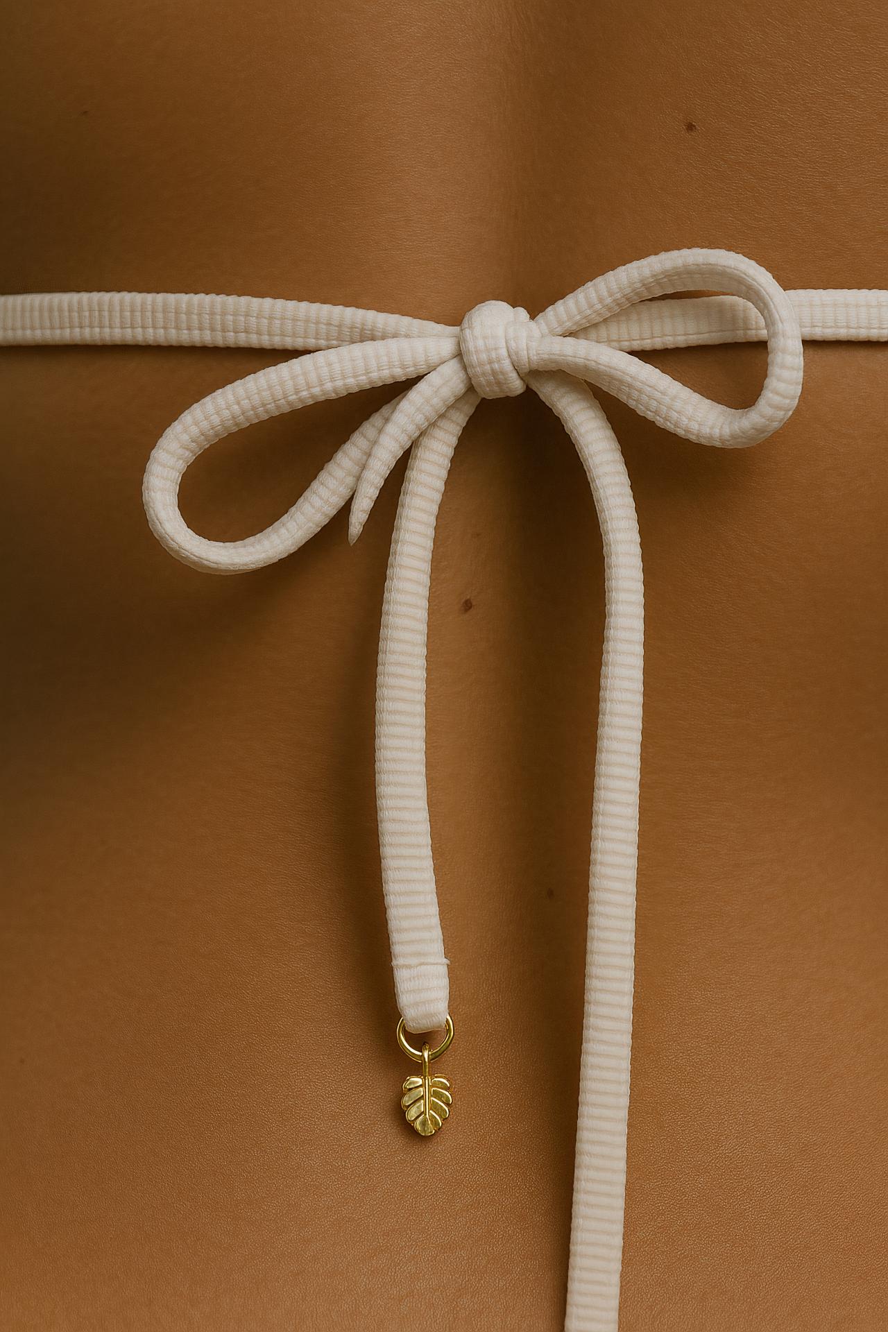 Jockstrap, bikini, lingerie top, natural material, knot, bra, swimsuit bottom stock photo