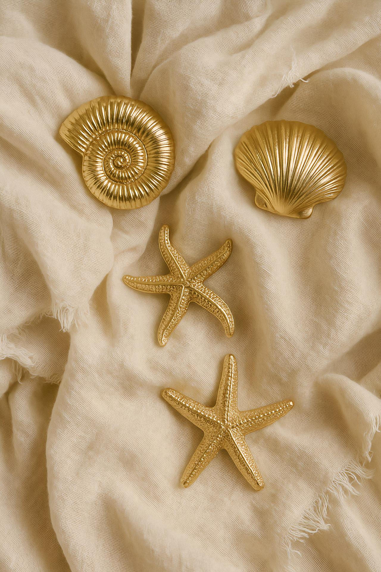 Colorful starfish, seashells, marine invertebrates in underwater scene