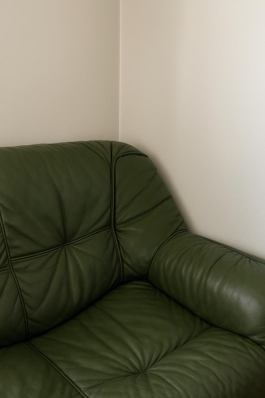 Comfortable studio couch, leather armrest, futon pad, sleeper chair, houseplant in living room