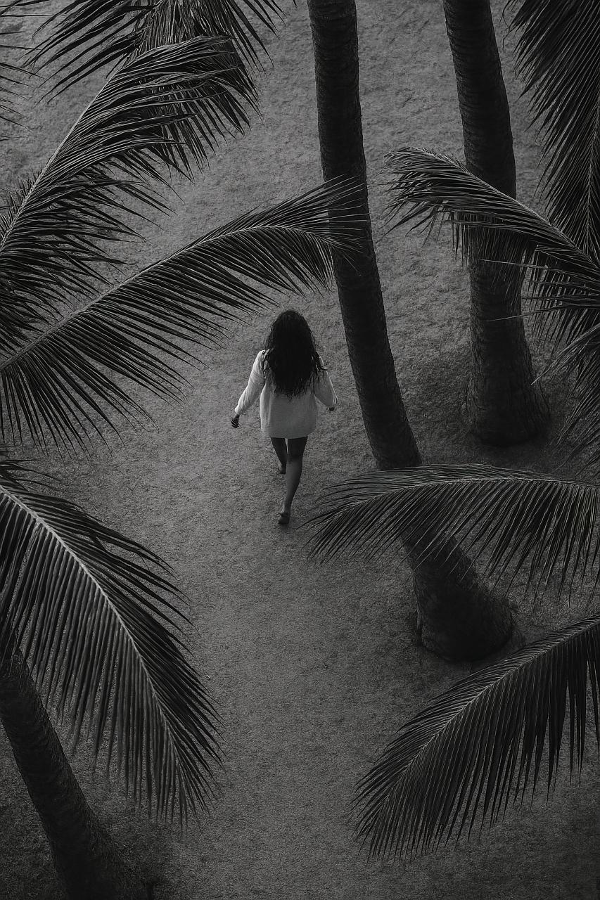 Monochrome image of babassu palm trees and shadows