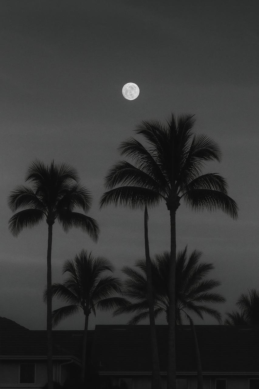 Moonlit palm trees in desert under full moon
