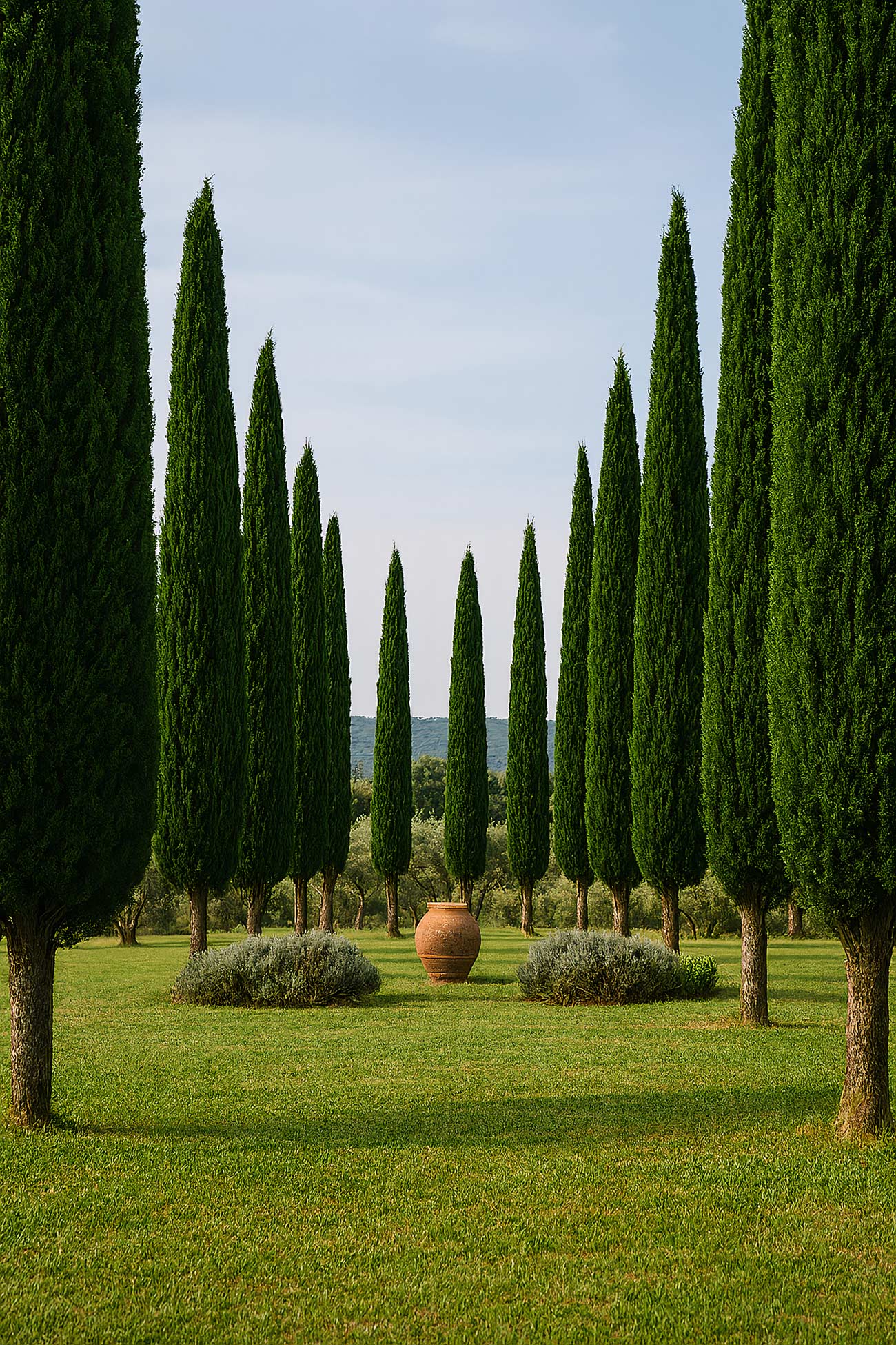 Green grove landscape with shrubs, conifers, and green leaves