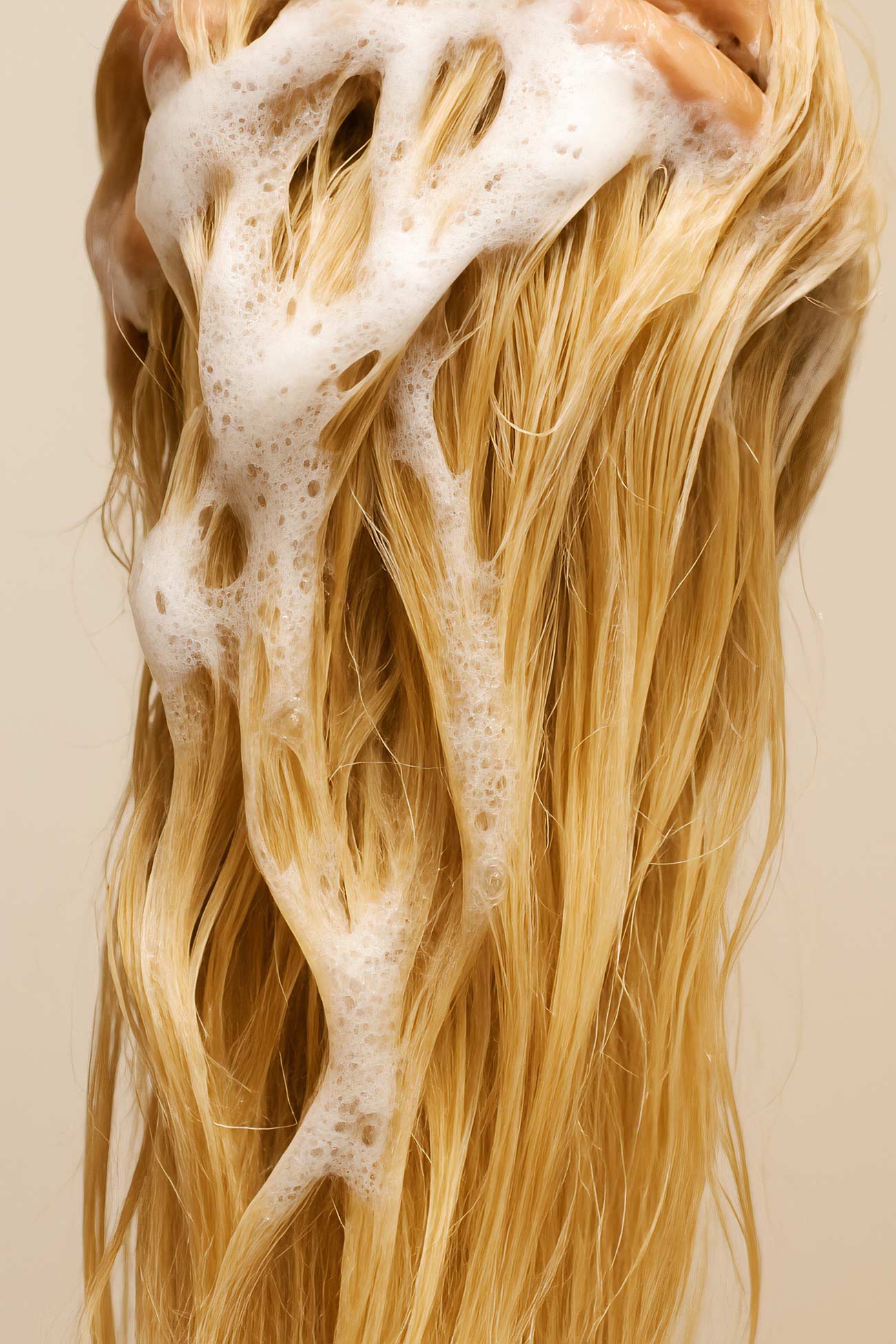 Blond and brown long layered hair with surfer style, hair care concept