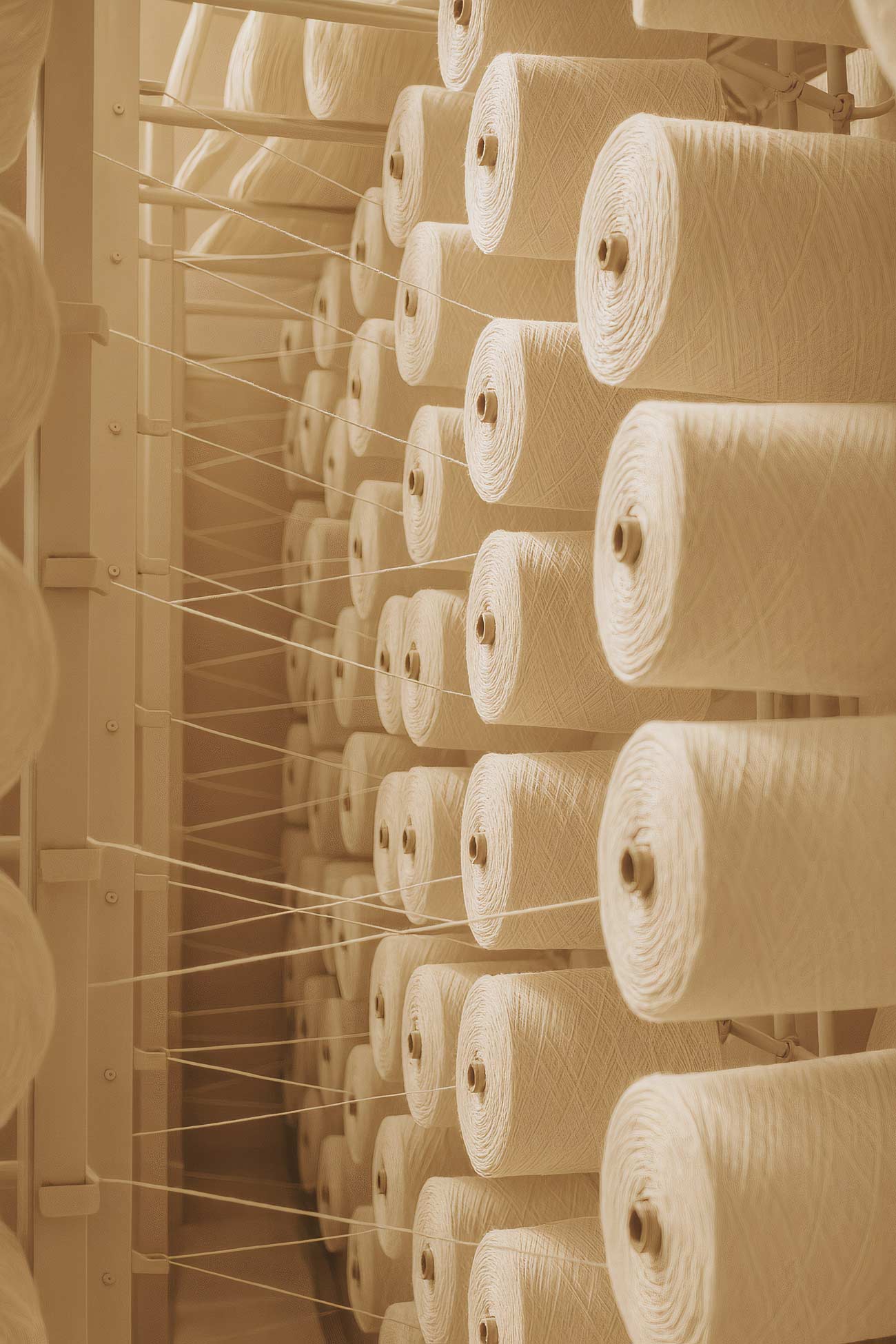 Plywood, wool, paper towel, cylinder composition