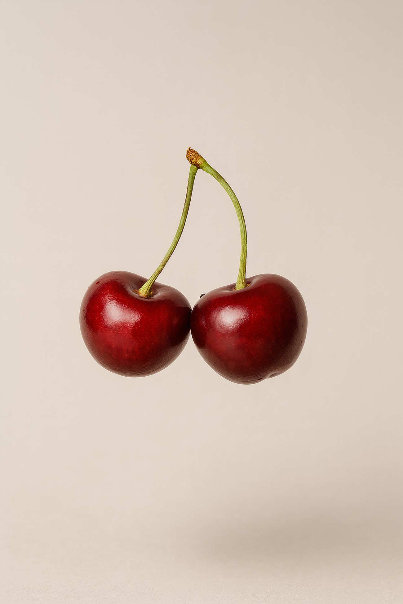 Black cherries, red fruit, produce still life