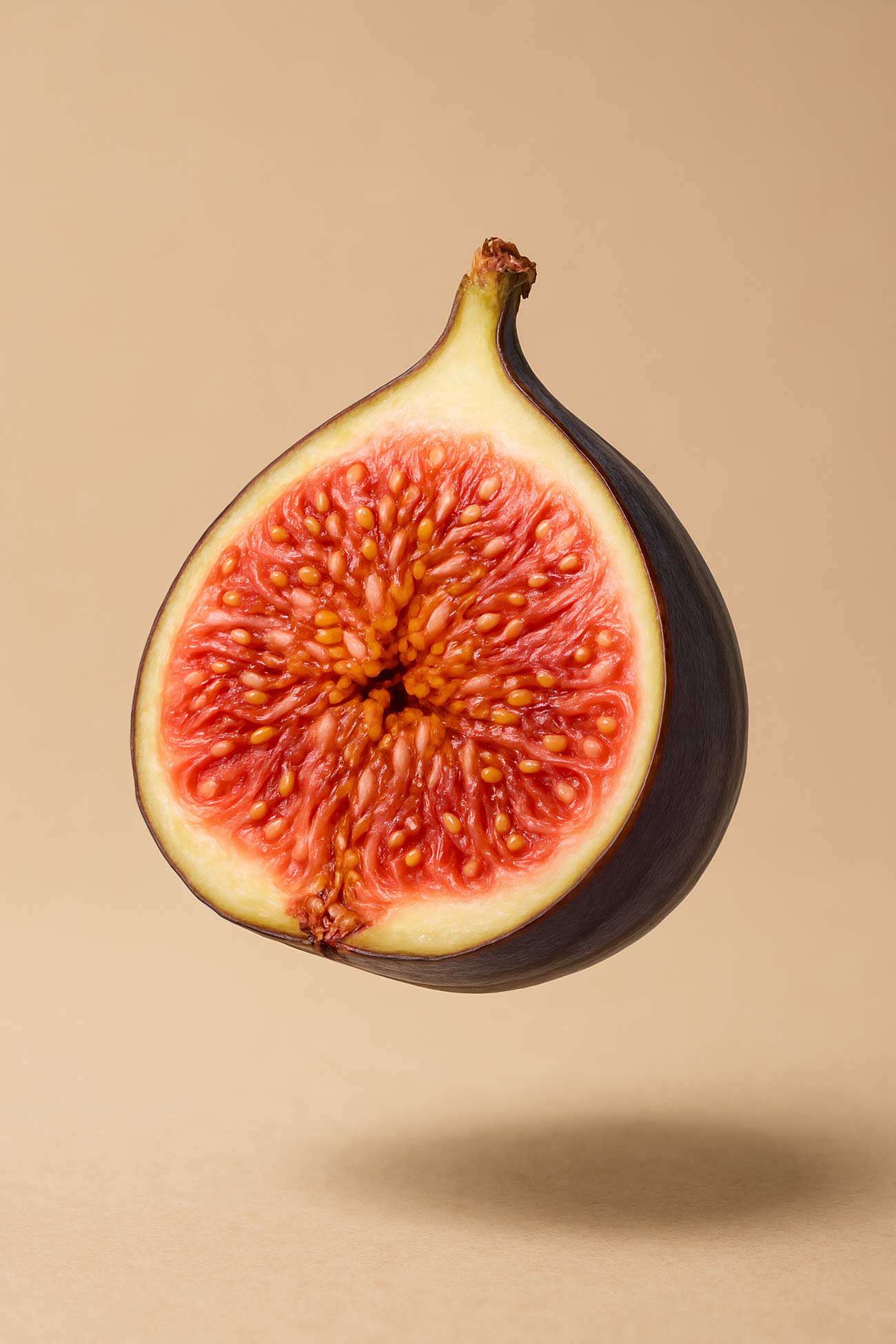 Cluster fig tree with fresh fig fruits