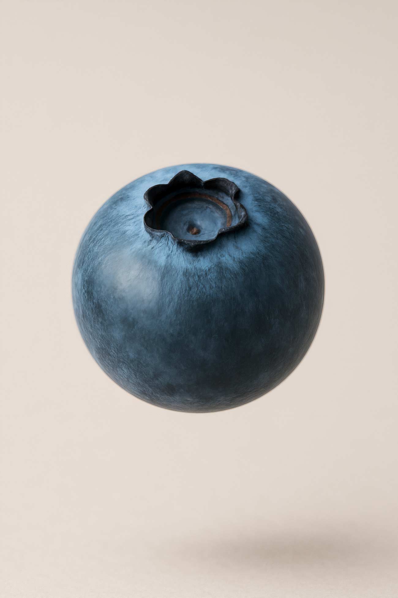 Assortment of blueberries, blackthorn, and juniper berries on wooden table