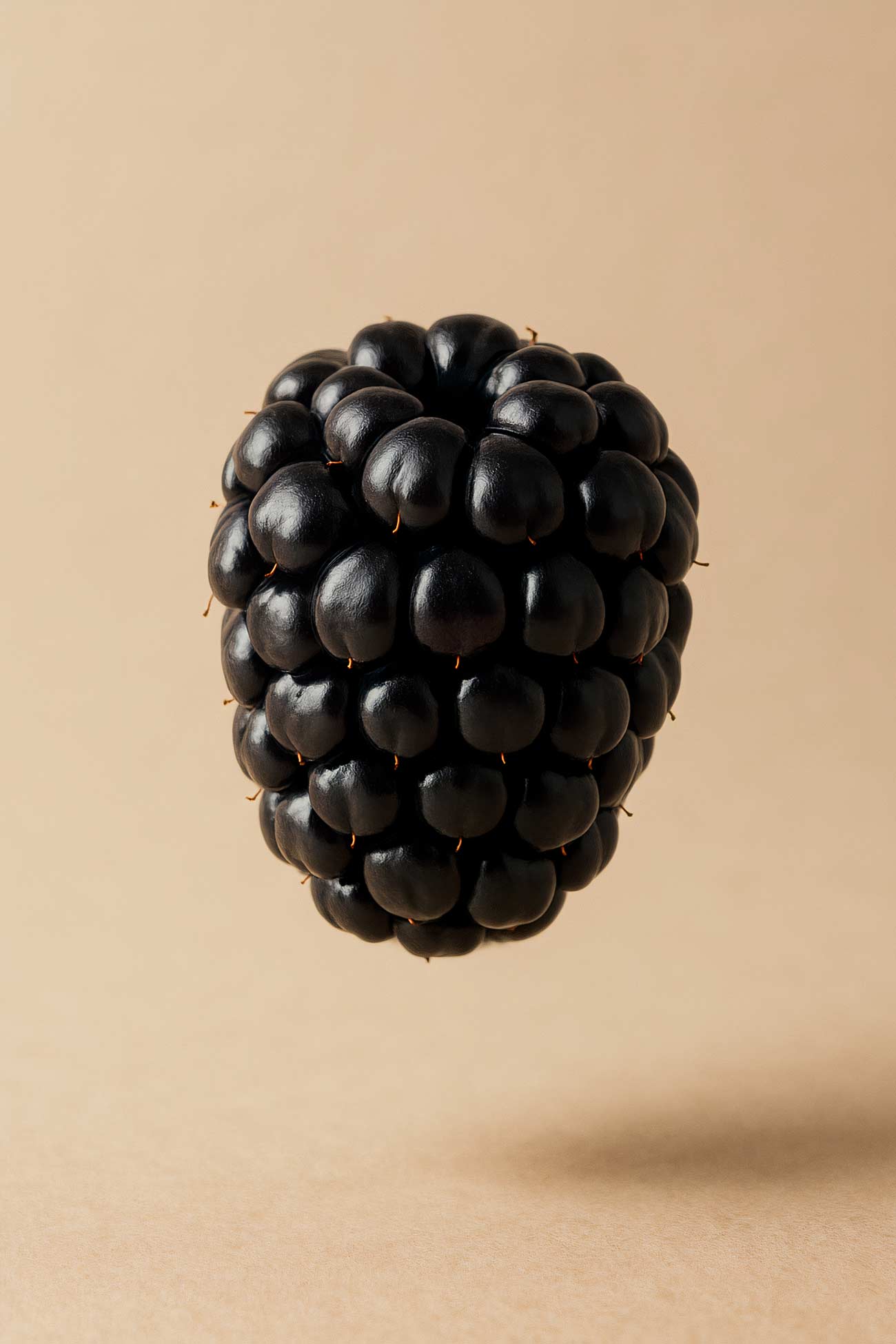 Assorted berries on rustic background - blackberries, boysenberries, olallieberries