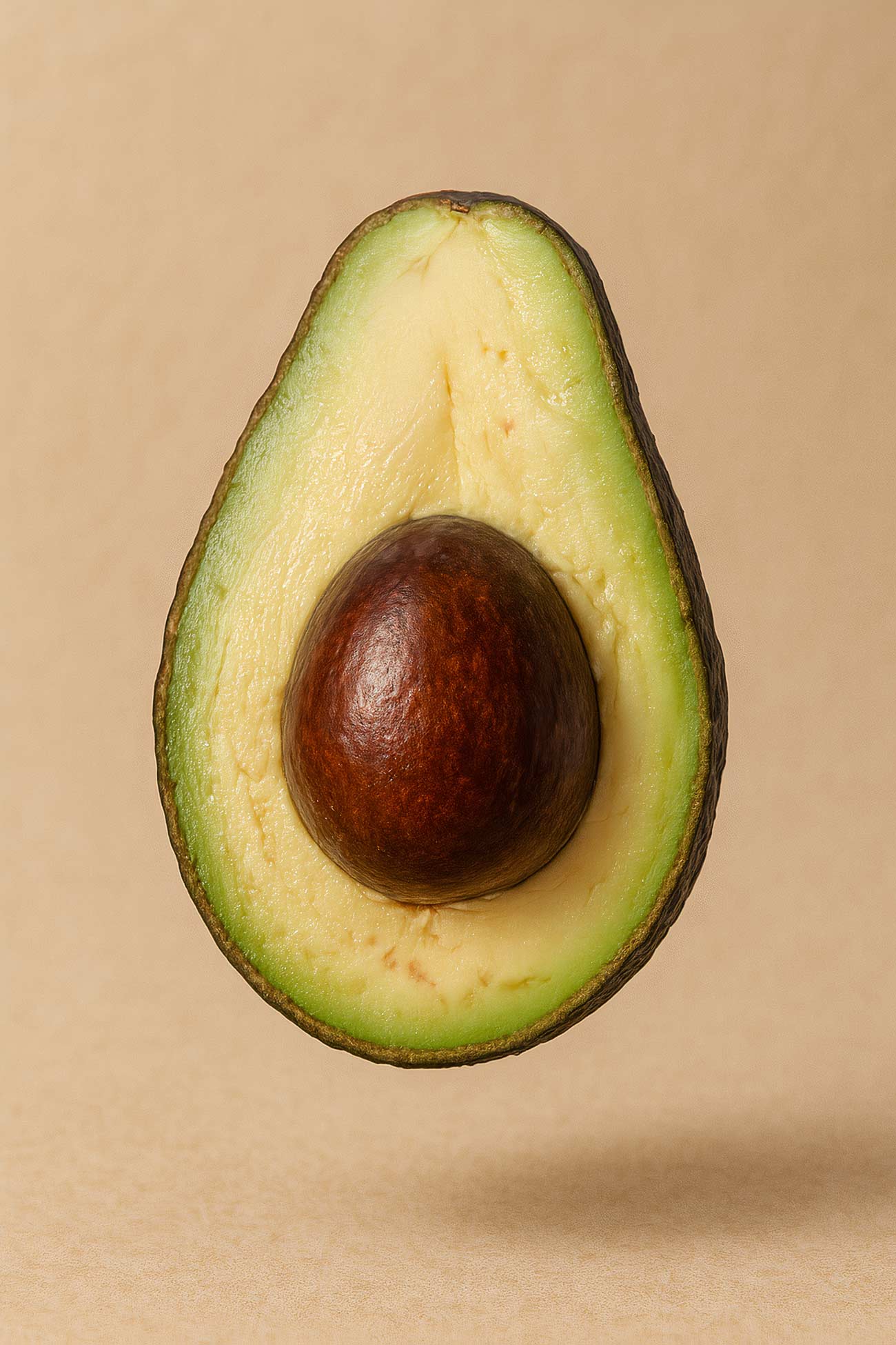 Avocado, cluster fig, babassu nuts, Ohio buckeye still life