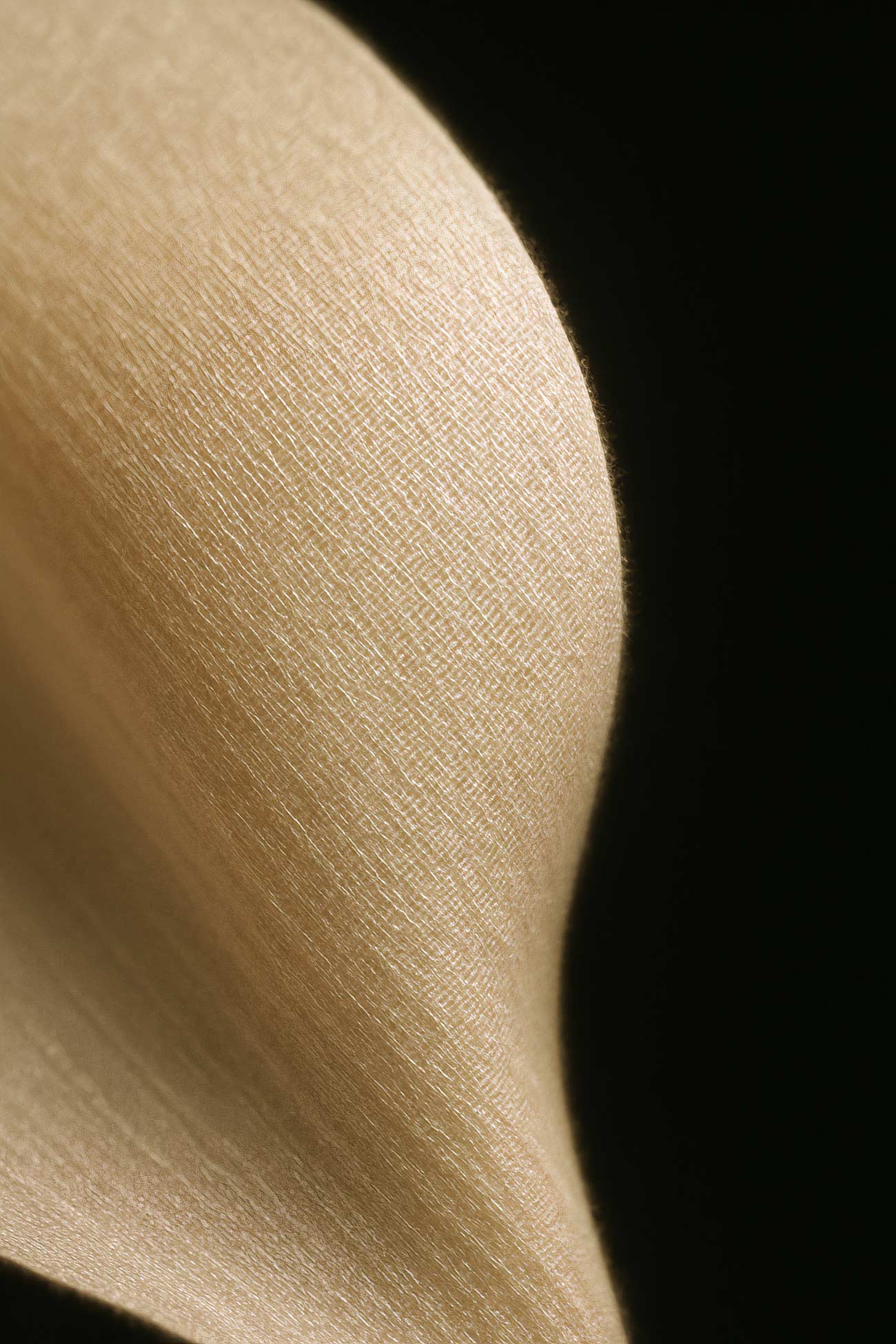 Macro photography close-up of hip shadow