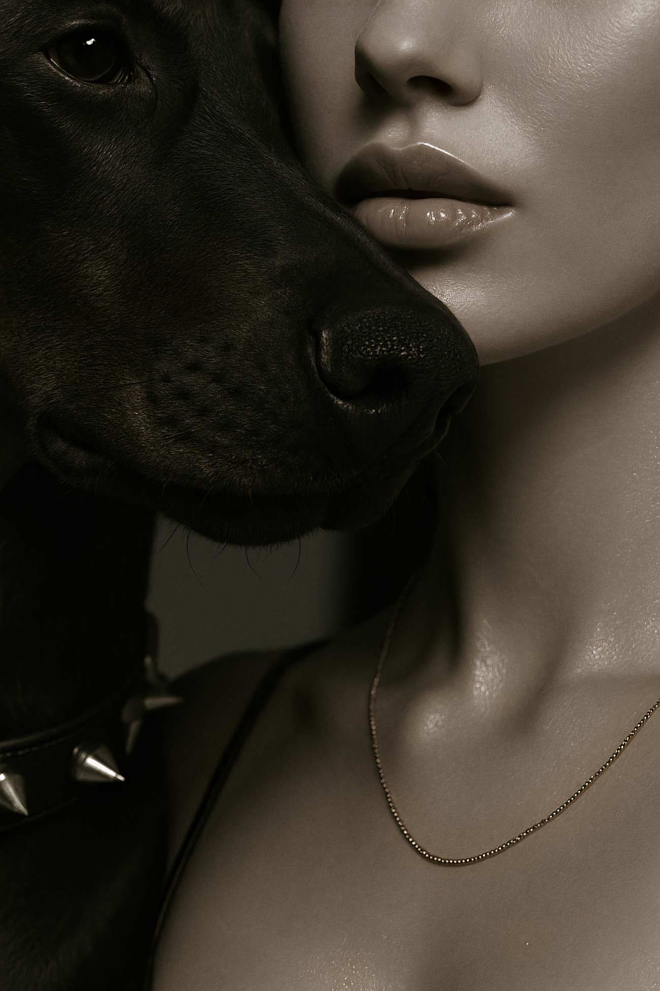 Black Norwegian Elkhound and Formosan Mountain Dog portrait