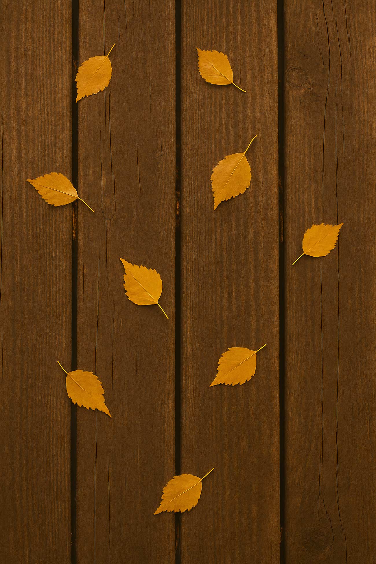 Birch hardwood plank in autumn colors