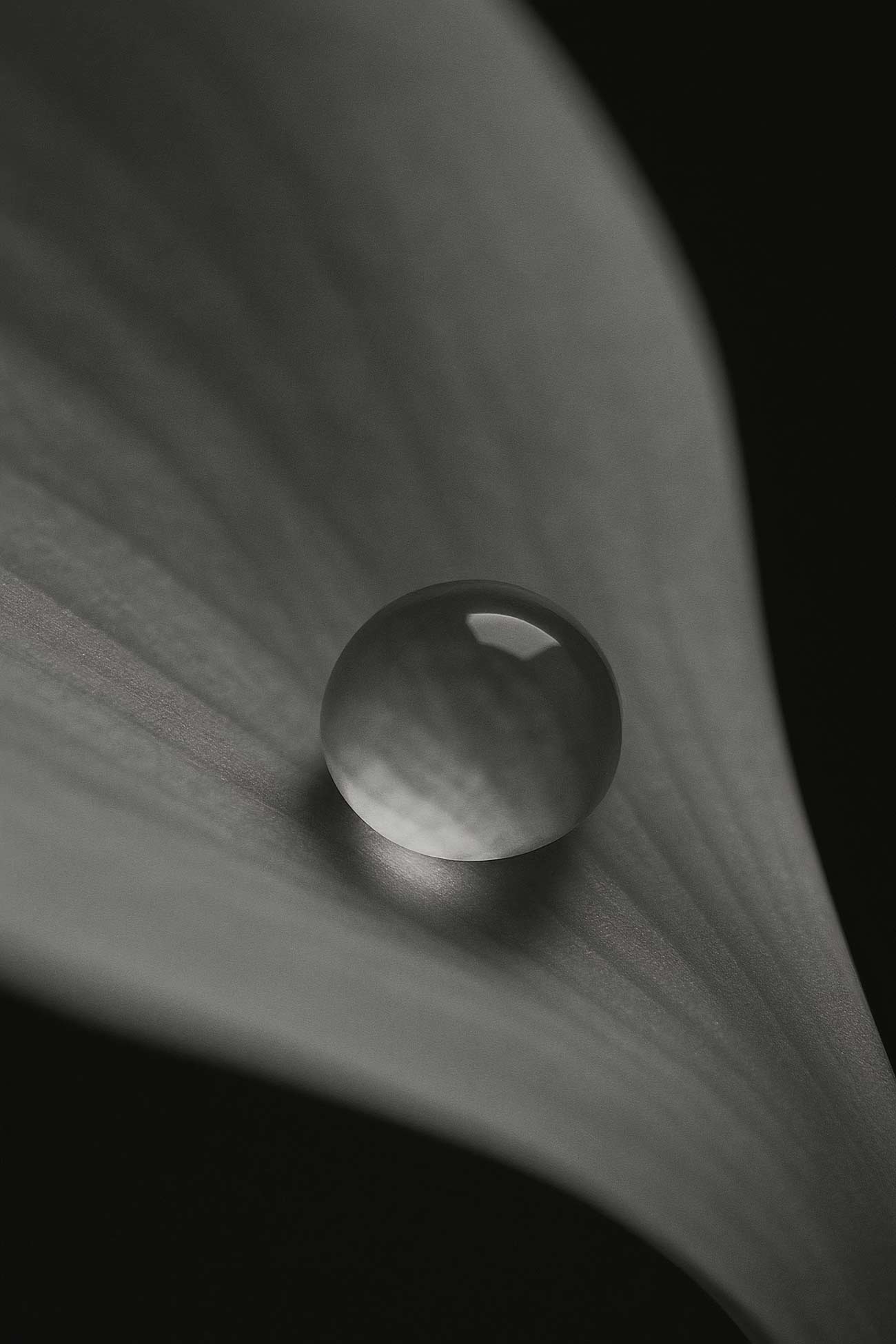 Monochrome liquid drops close-up still life